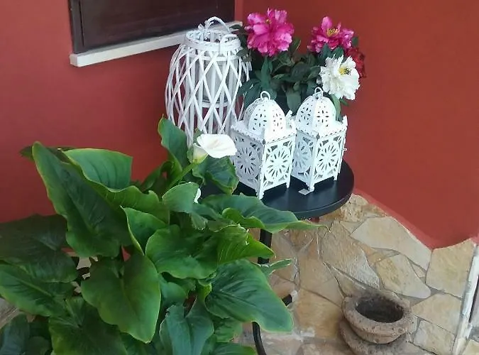 Гостевой дом Stella Куарту-Сант'Элена