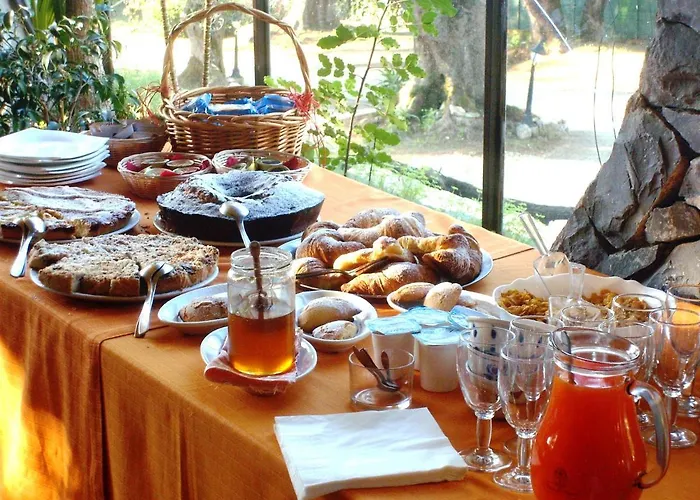 Гостевой дом Stella 4*