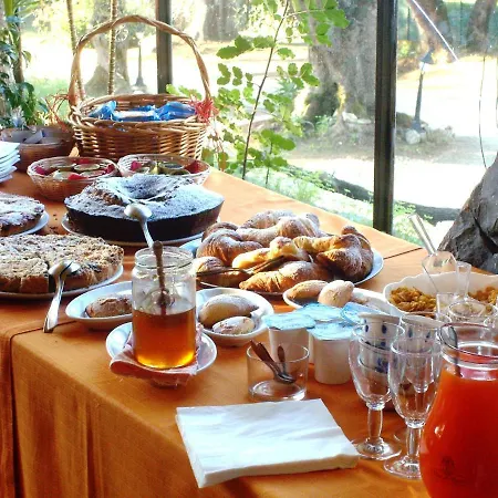 בית הארחה Stella 4*